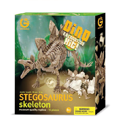 스테고사우르스(공룡 화석 발굴)
